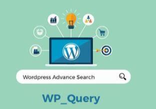 wordpress wp query|wp query args.